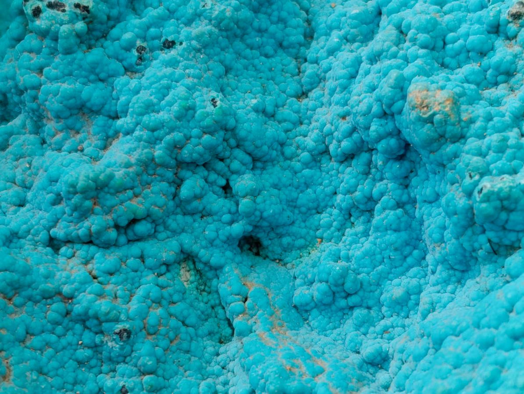 Natural Botryoidal Chrysocolla Specimens x 2 From Lupoto Mine, Congo