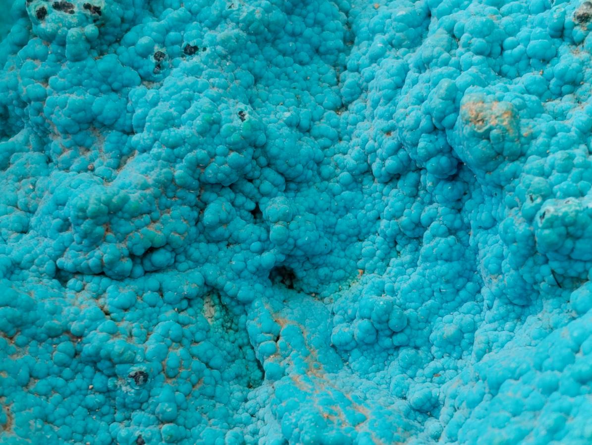 Natural Botryoidal Chrysocolla Specimens x 2 From Lupoto Mine, Congo