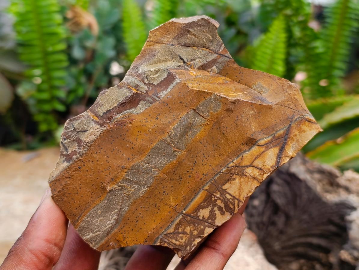 Natural Nguni Jasper Cobbed Specimens x 12 From Northern Cape, South Africa - Toprock Gemstones and Minerals 