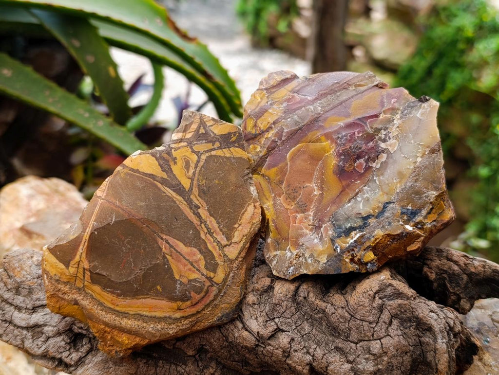 Natural Nguni Jasper Cobbed Specimens x 12 From Northern Cape, South Africa - Toprock Gemstones and Minerals 