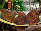 Natural Nguni Jasper Cobbed Specimens x 12 From Northern Cape, South Africa - Toprock Gemstones and Minerals 