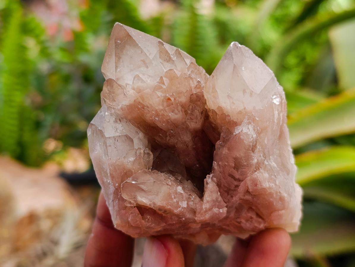 Cascading Smokey White Phantom Luena Quartz Clusters x 6 From Luena , Congo