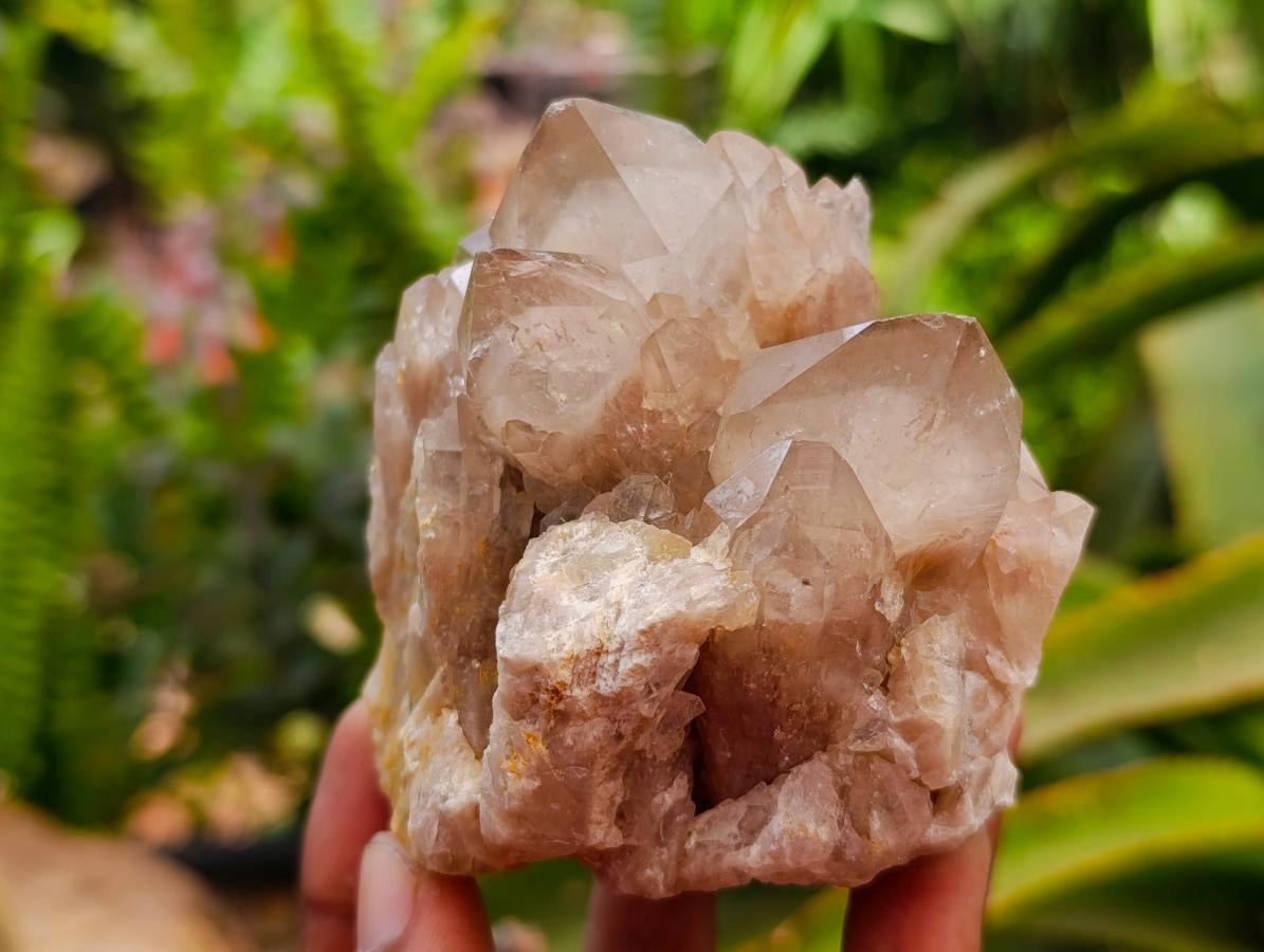 Cascading Smokey White Phantom Luena Quartz Clusters x 6 From Luena , Congo