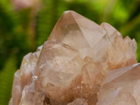 Cascading Smokey White Phantom Luena Quartz Clusters x 6 From Luena , Congo