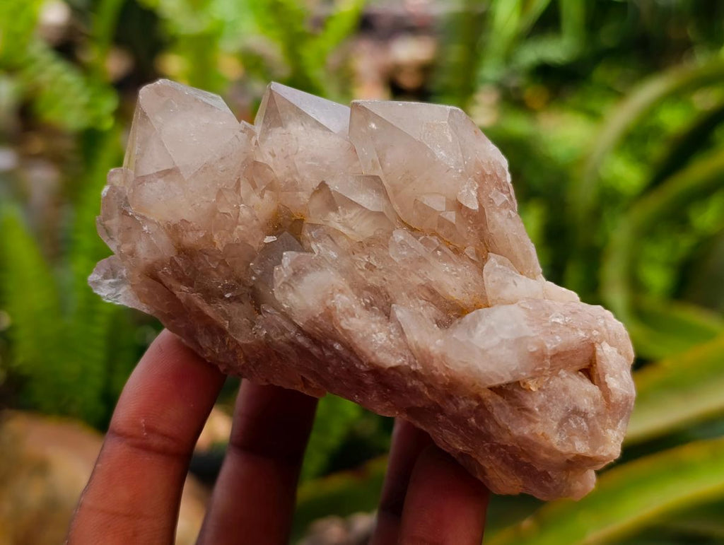 Cascading Smokey White Phantom Luena Quartz Clusters x 6 From Luena , Congo