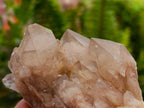 Cascading Smokey White Phantom Luena Quartz Clusters x 6 From Luena , Congo
