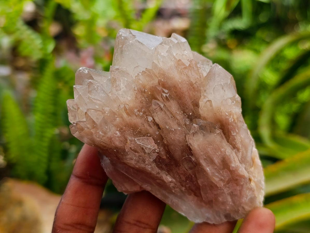 Cascading Smokey White Phantom Luena Quartz Clusters x 6 From Luena , Congo