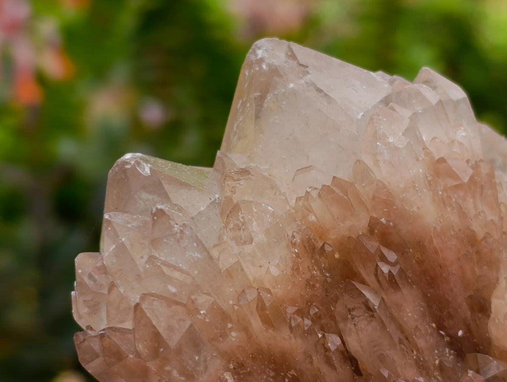 Cascading Smokey White Phantom Luena Quartz Clusters x 6 From Luena , Congo