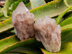 Cascading Smokey White Phantom Luena Quartz Clusters x 6 From Luena , Congo