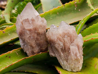 Cascading Smokey White Phantom Luena Quartz Clusters x 6 From Luena , Congo