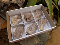Cascading Smokey White Phantom Luena Quartz Clusters x 6 From Luena , Congo