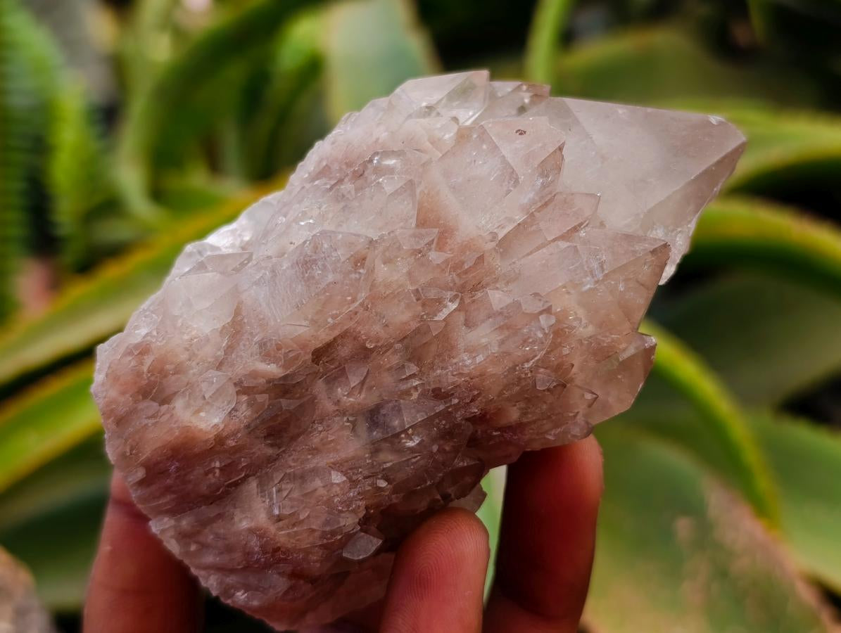 Cascading Smokey White Phantom Luena Quartz Clusters x 6 From Luena , Congo
