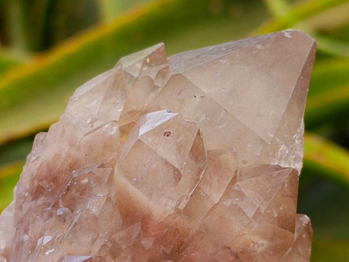 Cascading Smokey White Phantom Luena Quartz Clusters x 6 From Luena , Congo