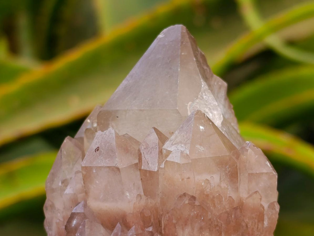 Cascading Smokey White Phantom Luena Quartz Clusters x 6 From Luena , Congo