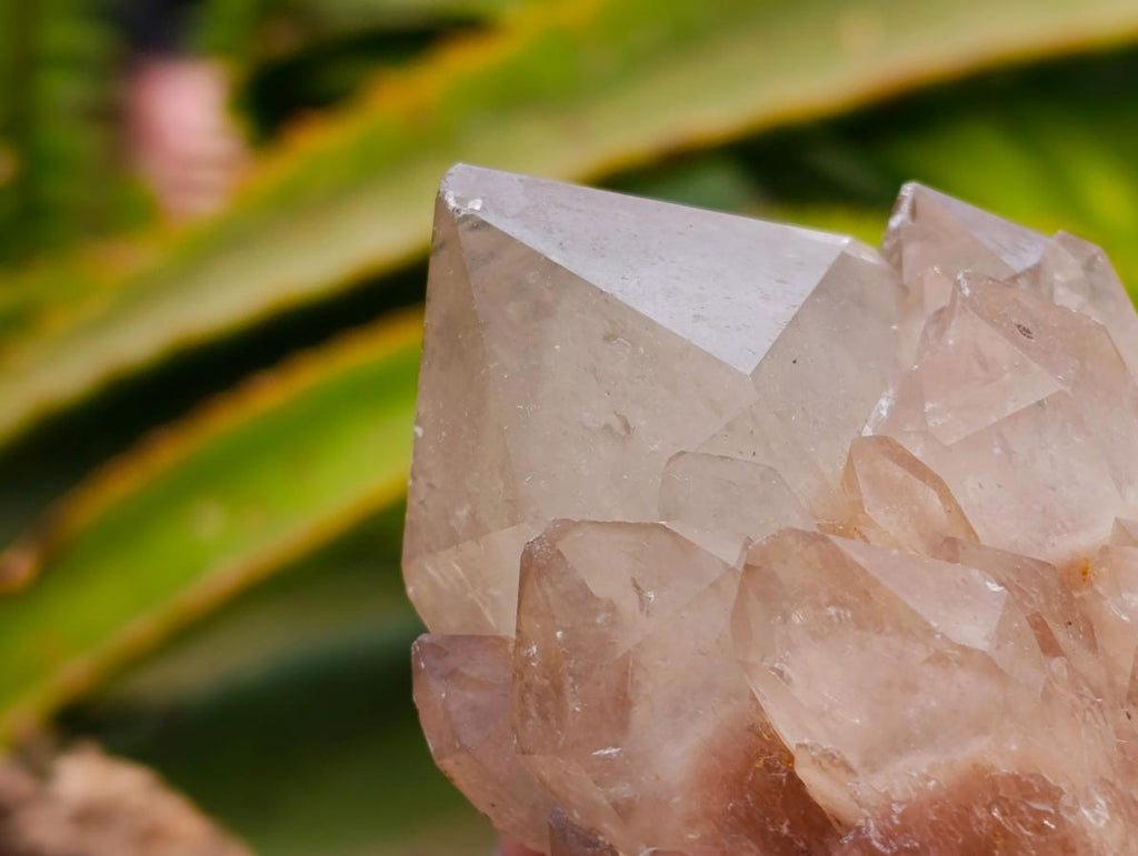Cascading Smokey White Phantom Luena Quartz Clusters x 6 From Luena , Congo