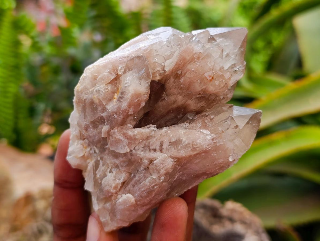 Cascading Smokey White Phantom Luena Quartz Clusters x 6 From Luena , Congo