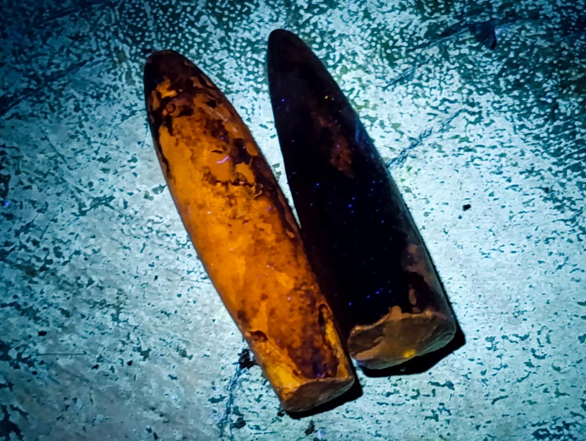 Natural Belemnite Rostrum Fossils x 70 From Madagascar