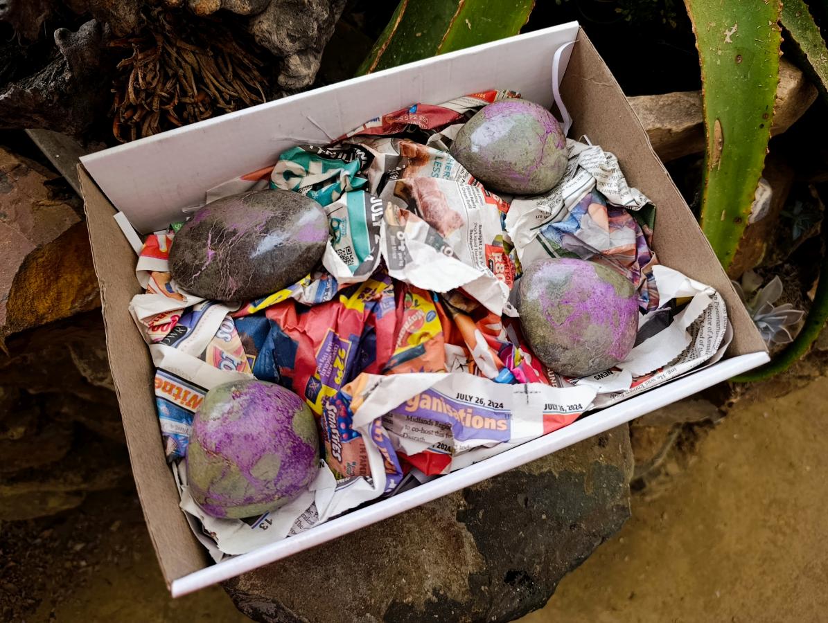 Polished Stichtite Free Forms x 4 From Barberton, South Africa