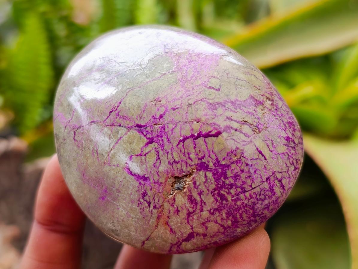 Polished Stichtite Free Forms x 4 From Barberton, South Africa