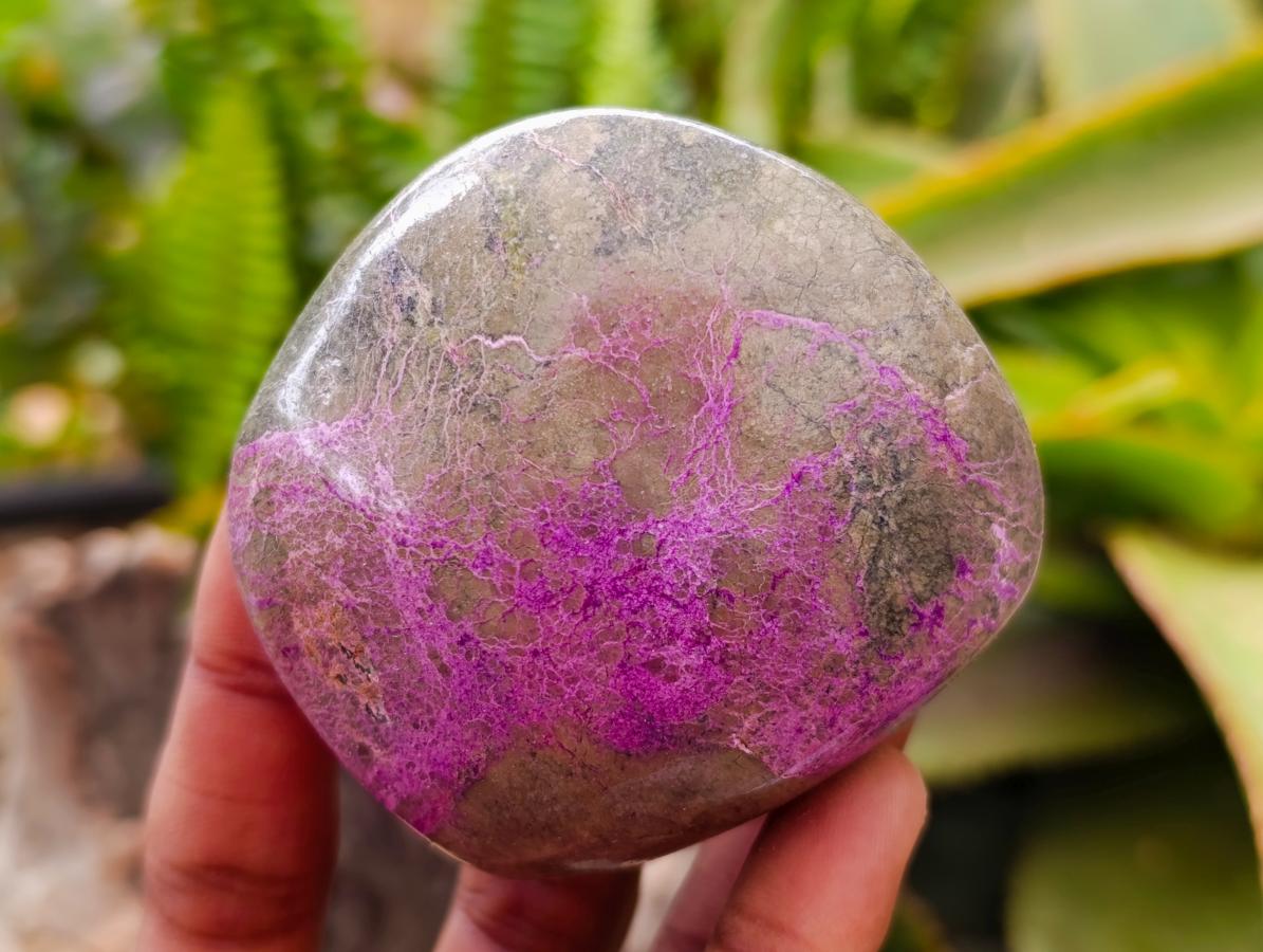 Polished Stichtite Free Forms x 4 From Barberton, South Africa