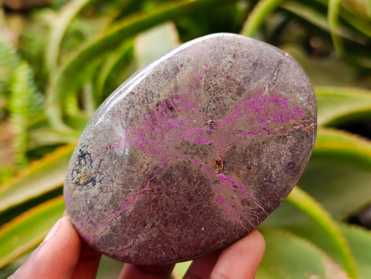 Polished Stichtite Free Forms x 4 From Barberton, South Africa