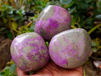 Polished Stichtite Free Forms x 4 From Barberton, South Africa