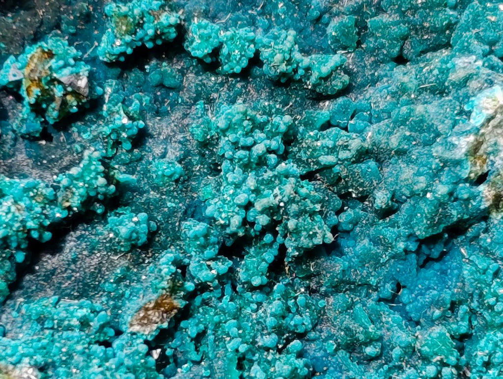 Natural Libethenite Crystals On Dolomite Matrix Specimens x 3 From Shituru, Congo