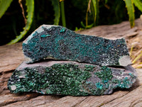 Natural Libethenite Crystals On Dolomite Matrix Specimens x 3 From Shituru, Congo