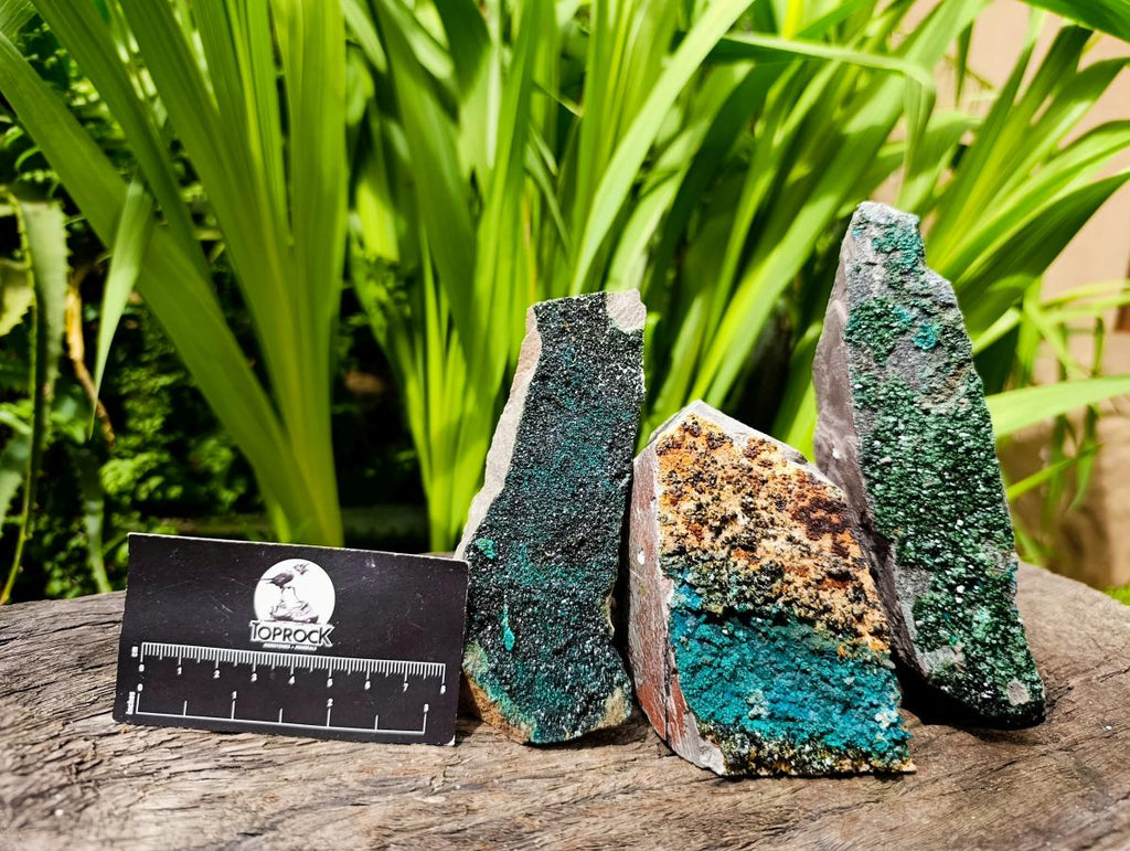 Natural Libethenite Crystals On Dolomite Matrix Specimens x 3 From Shituru, Congo