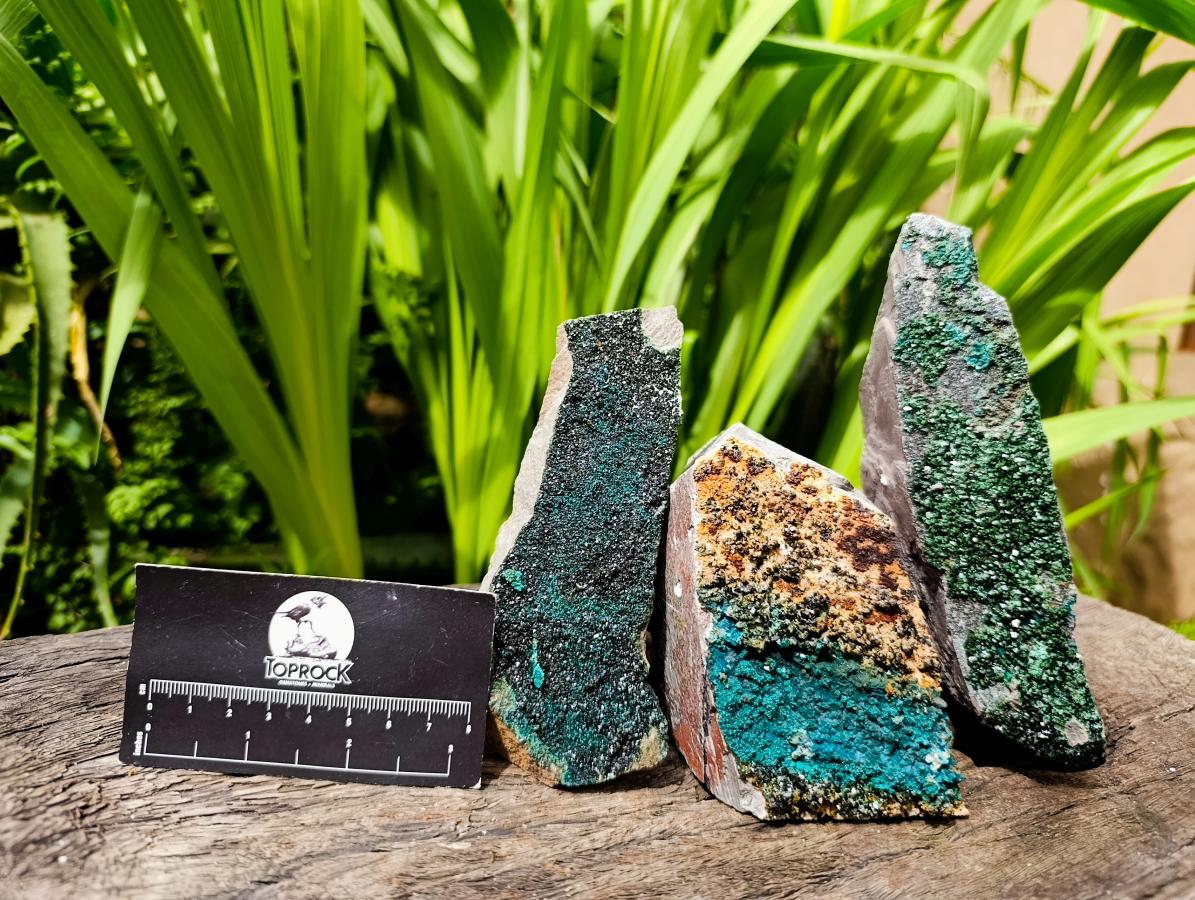 Natural Libethenite Crystals On Dolomite Matrix Specimens x 3 From Shituru, Congo