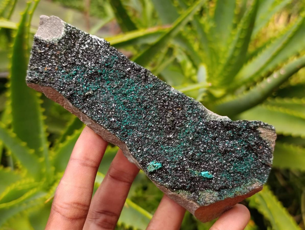 Natural Libethenite Crystals On Dolomite Matrix Specimens x 3 From Shituru, Congo