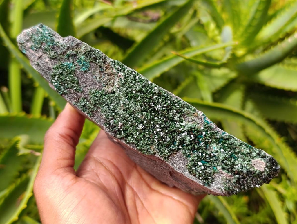 Natural Libethenite Crystals On Dolomite Matrix Specimens x 3 From Shituru, Congo