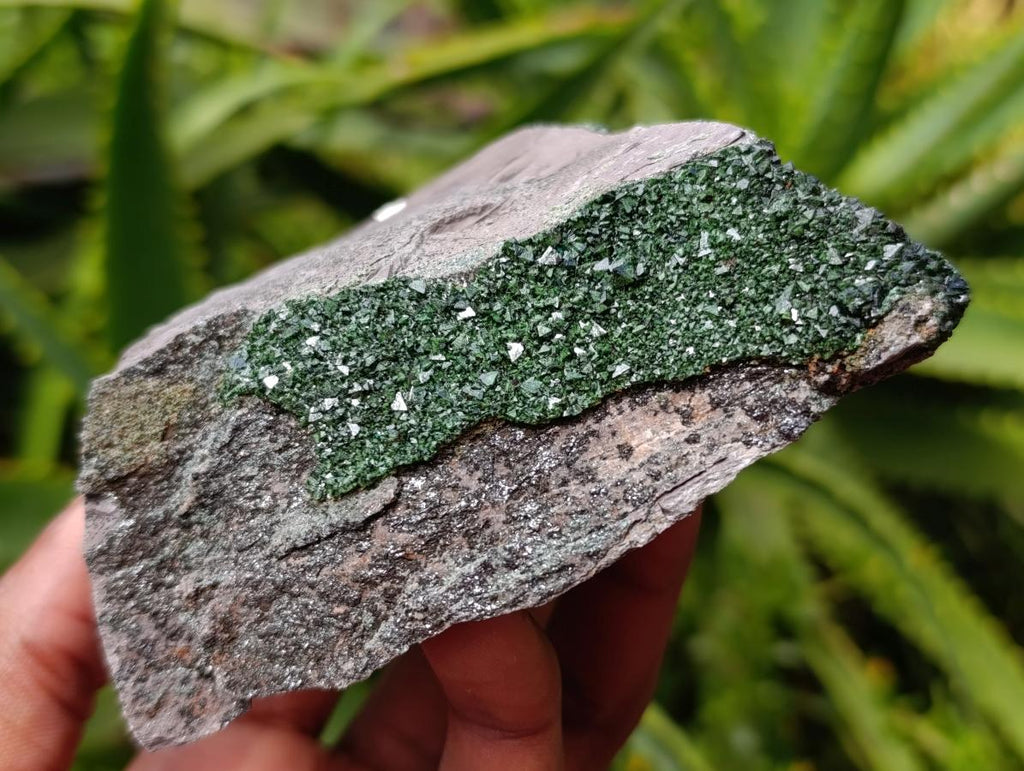 Natural Libethenite Crystals On Dolomite Matrix Specimens x 3 From Shituru, Congo
