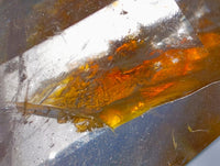 Polished Mixed Selected Quartz Crystals x 4 From Madagascar