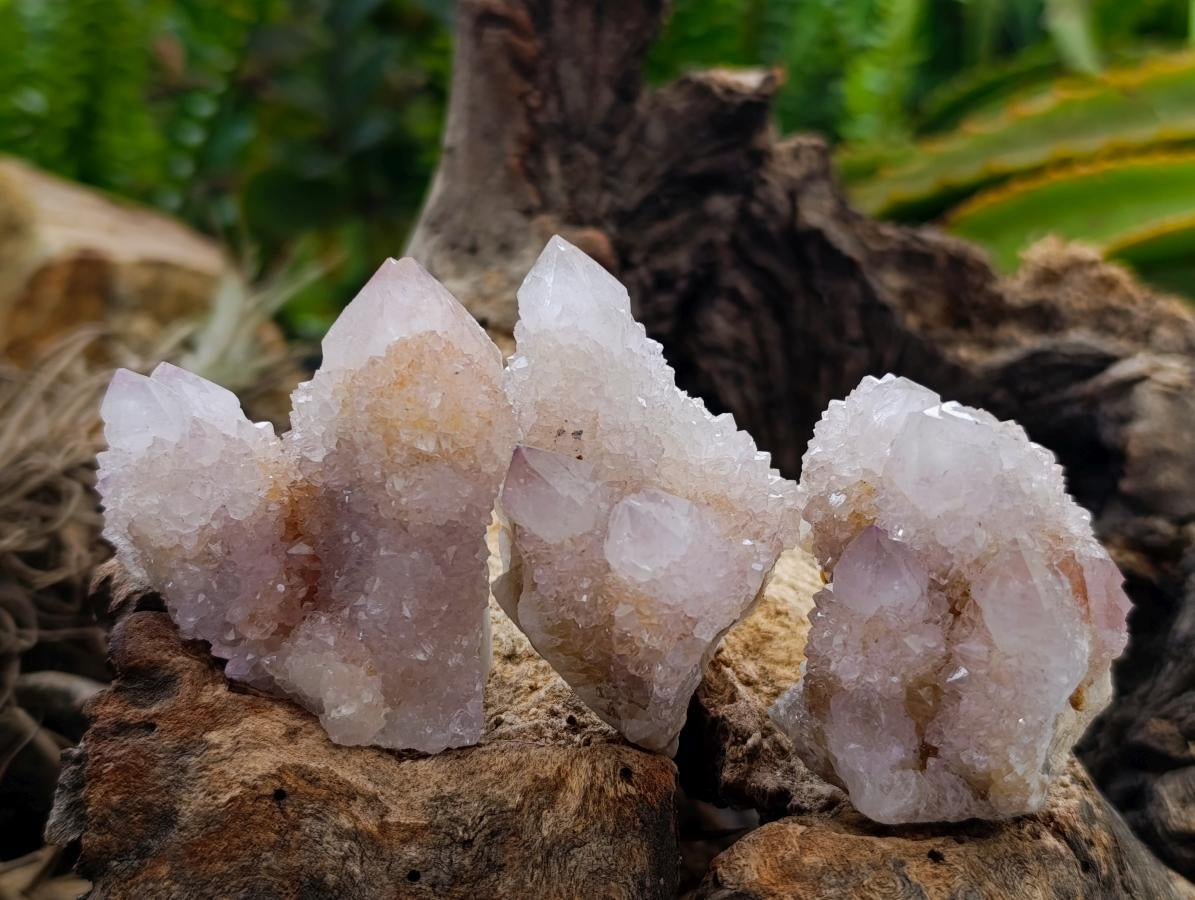 Natural Lilac Spirit Quartz Clusters x 12 From Boekenhouthoek, South Africa