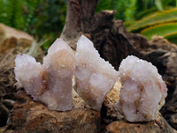 Natural Lilac Spirit Quartz Clusters x 12 From Boekenhouthoek, South Africa