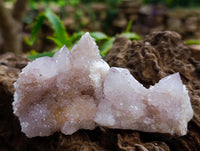 Natural Lilac Spirit Quartz Clusters x 12 From Boekenhouthoek, South Africa