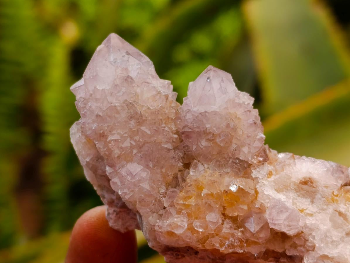 Natural Lilac Spirit Quartz Clusters x 12 From Boekenhouthoek, South Africa