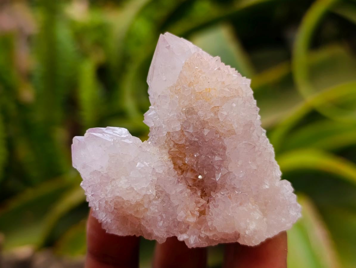 Natural Lilac Spirit Quartz Clusters x 12 From Boekenhouthoek, South Africa