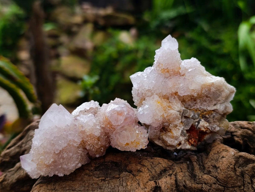 Natural Lilac Spirit Quartz Clusters x 12 From Boekenhouthoek, South Africa