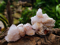 Natural Lilac Spirit Quartz Clusters x 12 From Boekenhouthoek, South Africa