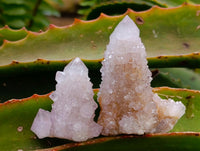 Natural Lilac Spirit Quartz Clusters x 12 From Boekenhouthoek, South Africa