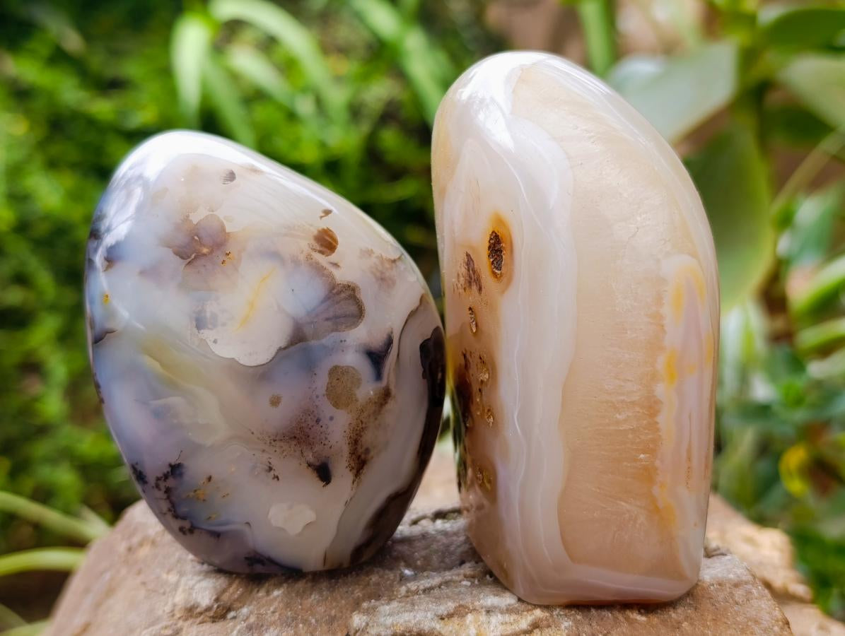 Polished Dendritic Agate Standing Free Forms x 6 From Moralambo, Madagascar