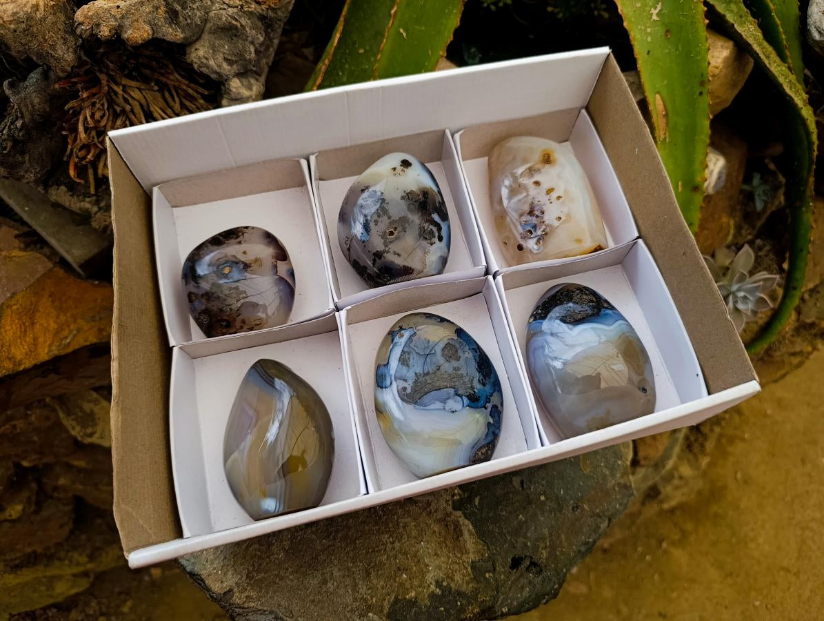 Polished Dendritic Agate Standing Free Forms x 6 From Moralambo, Madagascar