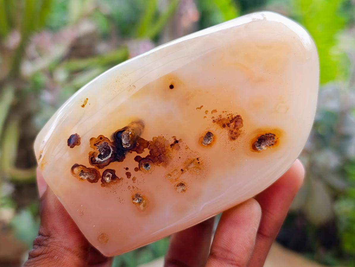 Polished Dendritic Agate Standing Free Forms x 6 From Moralambo, Madagascar