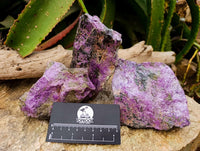 Natural Stichtite Cobbed Specimens x 3 From Barberton, South Africa