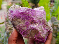 Natural Stichtite Cobbed Specimens x 3 From Barberton, South Africa