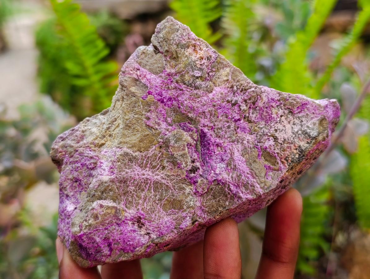 Natural Stichtite Cobbed Specimens x 3 From Barberton, South Africa