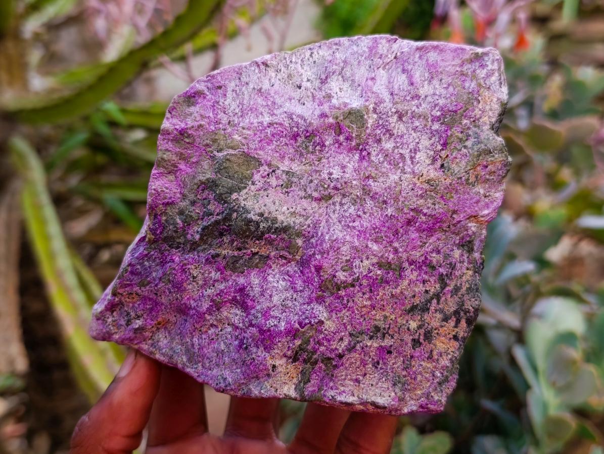 Natural Stichtite Cobbed Specimens x 3 From Barberton, South Africa