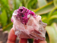 Natural Salrose Cobaltion Dolomite Specimens x 12 From Kakanda, Congo